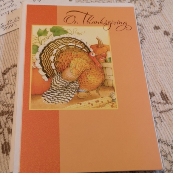 Set of 11 Turkey Thanksgiving Cards - Picture 2 of 6